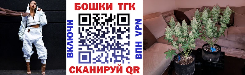 Бошки марихуана индика  Купить  Мончегорск 
